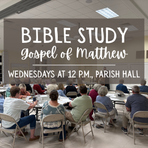 Noon Bible Study: Gospel of Matthew